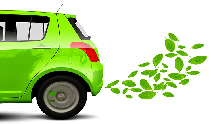 eco-dynamic